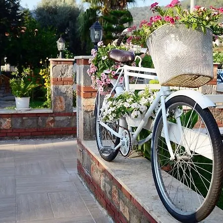 Bronze Bed & Breakfast