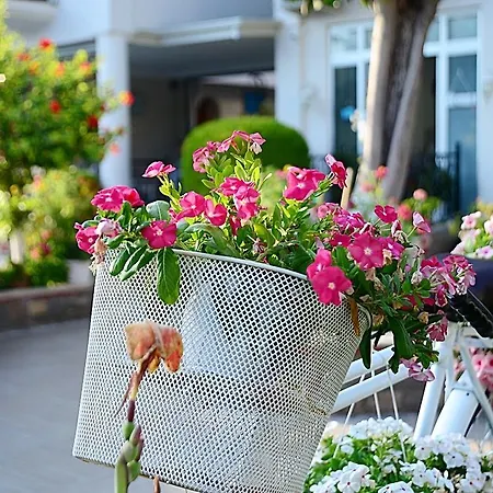 Bed & Breakfast Bronze 3*